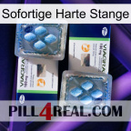 Instant Hard Rod viagra5